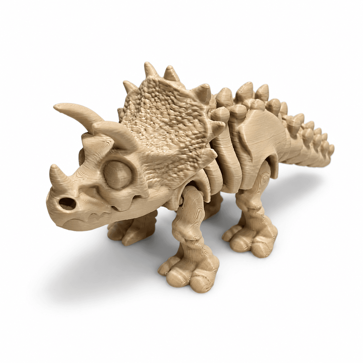 Triceratops - Esqueleto de dinossauro